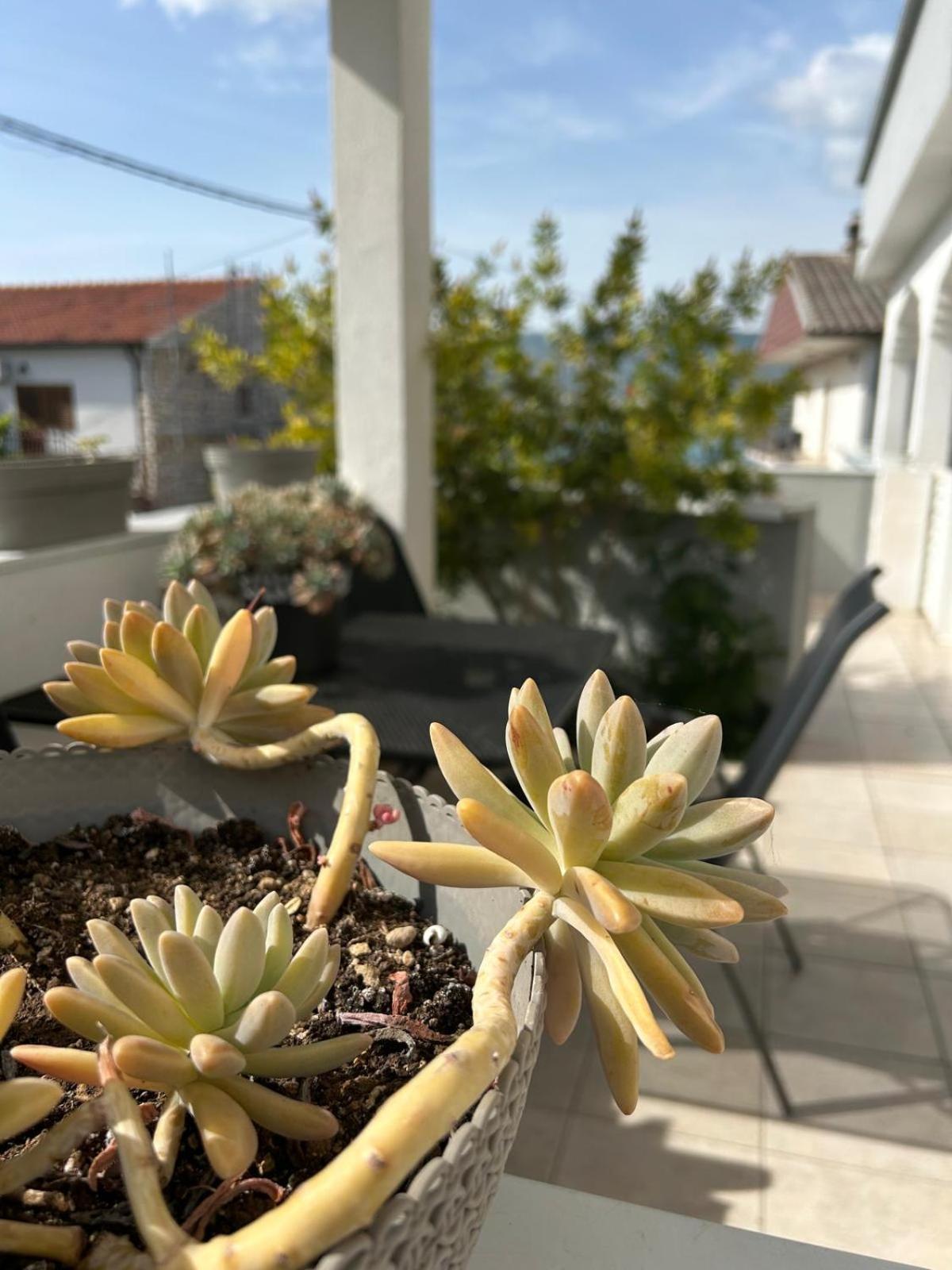 Apartmani Grgic Trogir Bagian luar foto